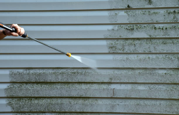Best Best Pressure Washing Companies  in Rio Bravo, TX