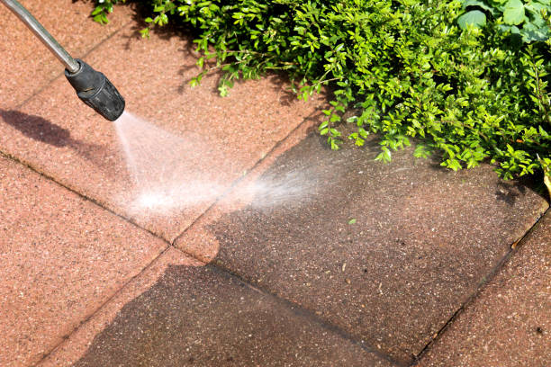 Best Power Washing Near Me  in Rio Bravo, TX